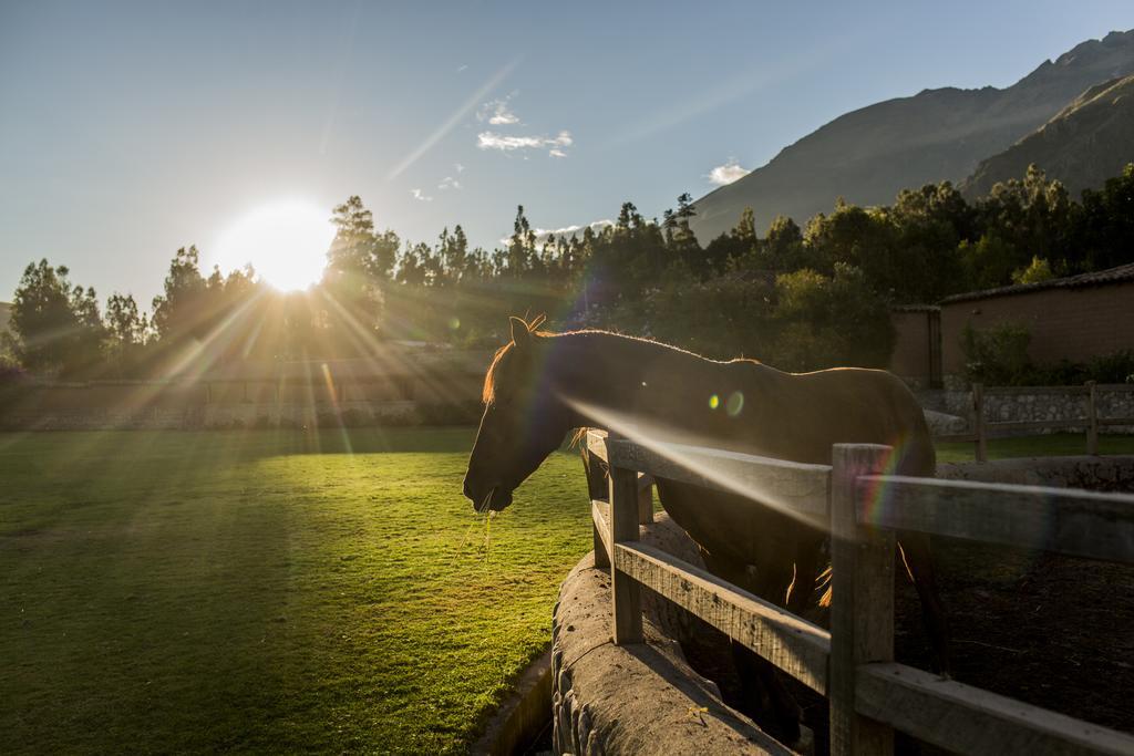 Sol Y Luna - Relais & Chateaux Sacred Valley Extérieur photo